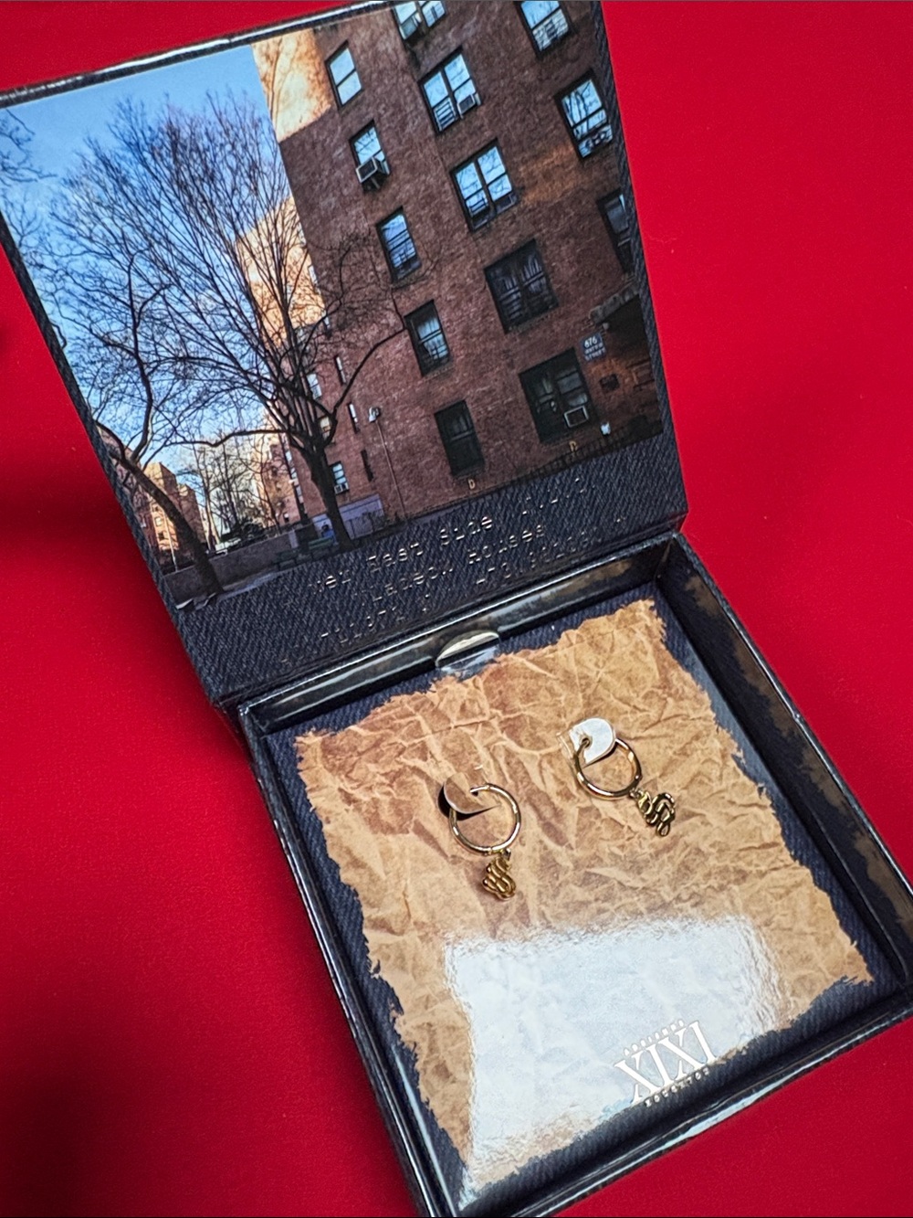 Adrienne Houston XIXI earrings. New in box.